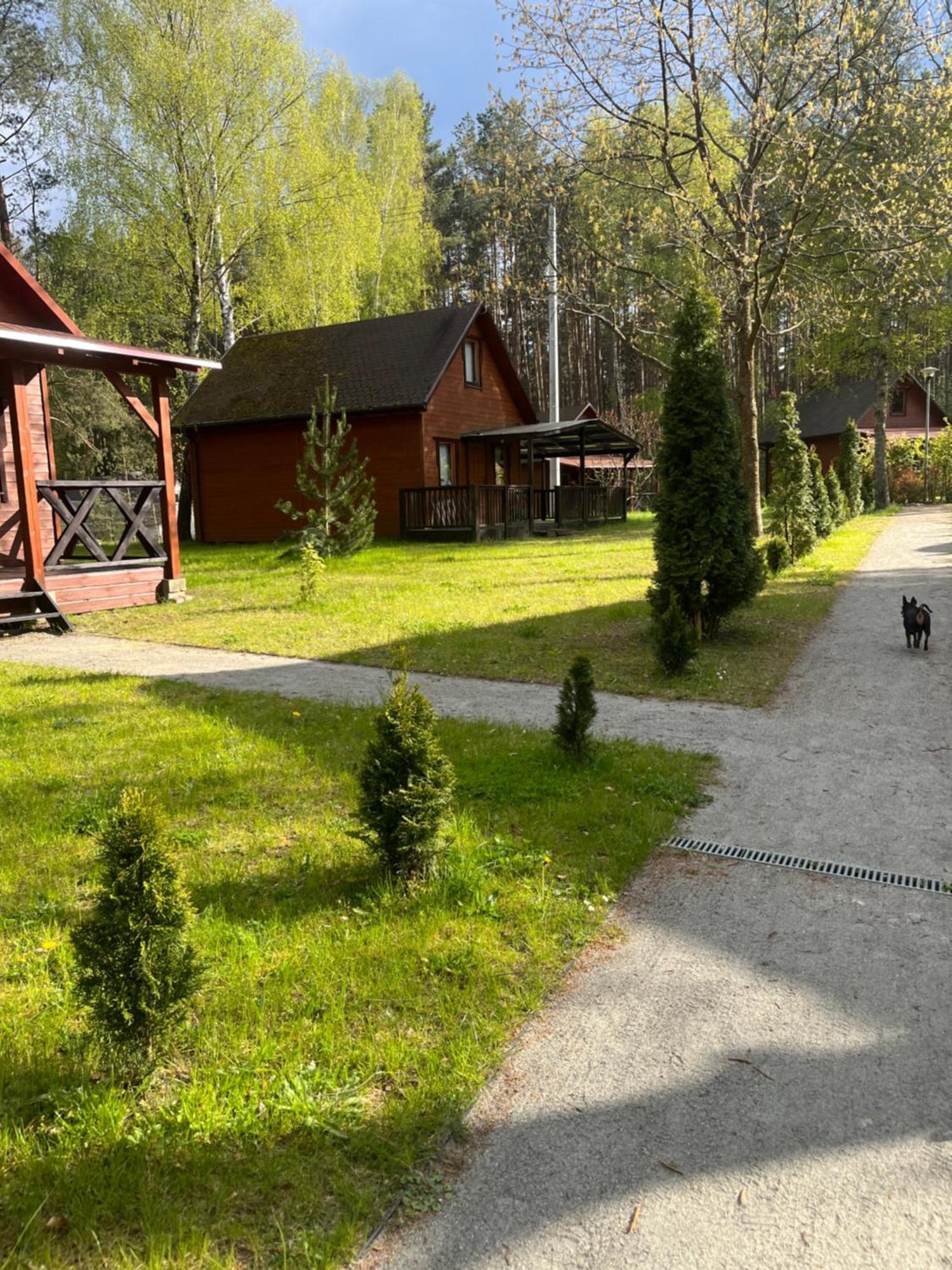 Domki Letniskowe Nad Jeziorem Kazub Cieciorka Exteriér fotografie